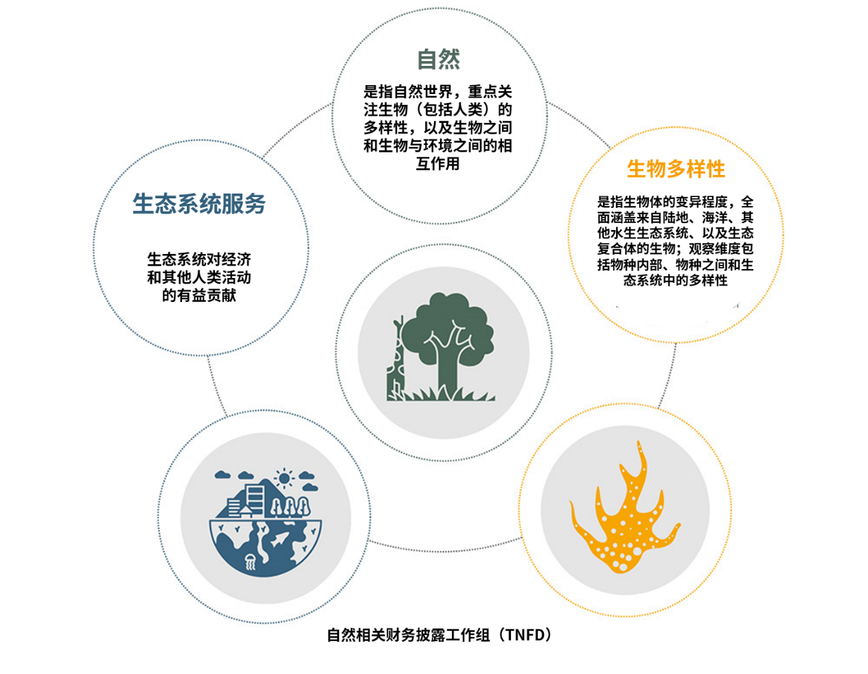 自然相关报告的定义